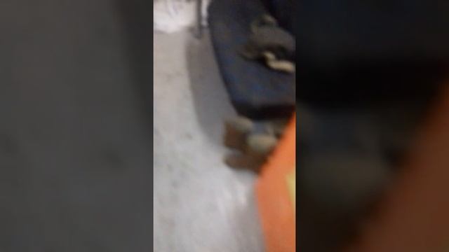 Двигатель лифан 15 л.с глохнет, чихает. смотреть онлайн