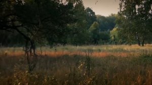 ЧЕРНОБЫЛЬ. 10 САМЫХ СТРАШНЫХ РАДИОАКТИВНЫХ МЕСТ