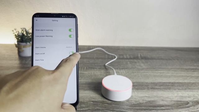 Tuya ZigBee Siren Sound and Light Alarm | Reyzz Tech смотреть онлайн