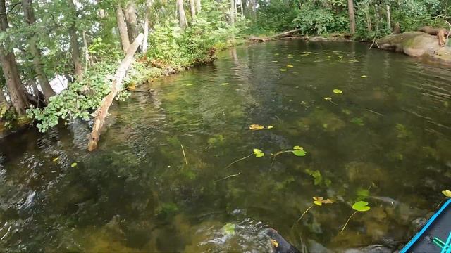 Black Cat Black Witch 14 2022,  Paddling For The First Time A Sup