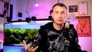 Организация течения воды в аквариуме травнике