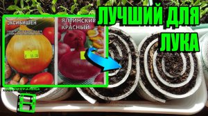 СУПЕР СПОСОБ ПОСЕВА СЕМЯН ЛУКА НА РАССАДУ. ЛУК-ЧЕРНУШКА. САД (ОГОРОД) И ТЕПЛИЦА 5-21