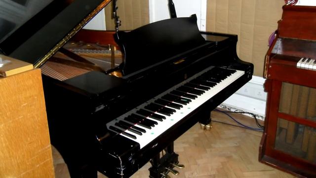 10 najdziwniejszych rzeczy, które ukradli goście hotelowi смотреть онлайн