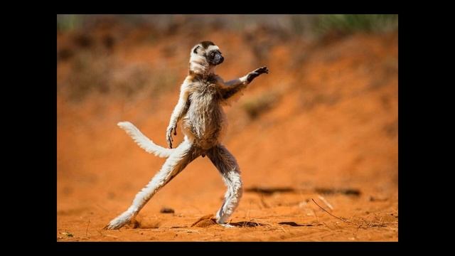 Зимние пожелания 