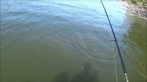 Рыбалка в отвес на щуку  часть 2