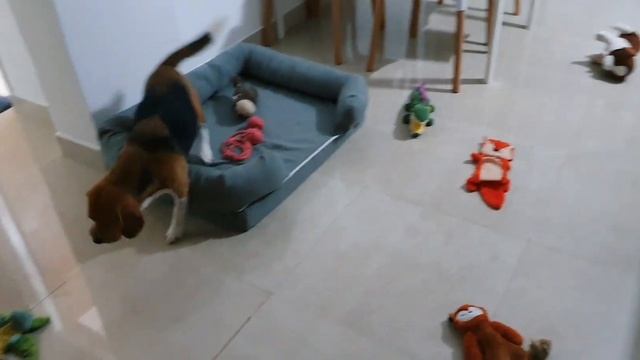 ГОА ВЛОГ #9 Собираем индийскую мебель / Рецепт горшочков с курицей и овощами смотреть онлайн