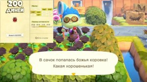 Живность МАРТА (Жуки, Рыбы, Глубоководные) в Animal Crossing: New Horizons