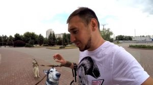 ВСЁ КУПЛЕНО! МЫ на ВЫСТАВКЕ СОБАК / хаски и маламут в ринге выставки