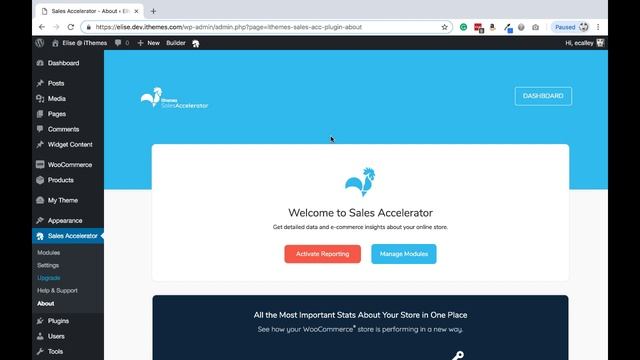 Getting Started with iThemes Sales Accelerator смотреть онлайн