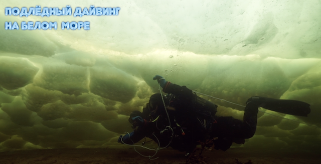 подлёдный дайвинг  на Белом море