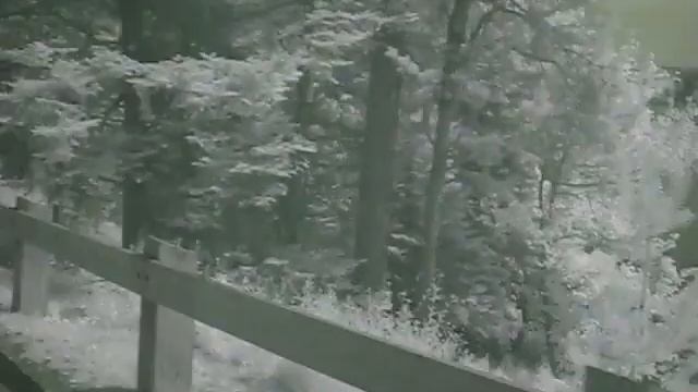 Point Pleasant Park Bike Ride #1 смотреть онлайн