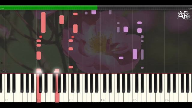 Where the Wild Roses Grow | Adelina Piano synthesia tutorial смотреть онлайн