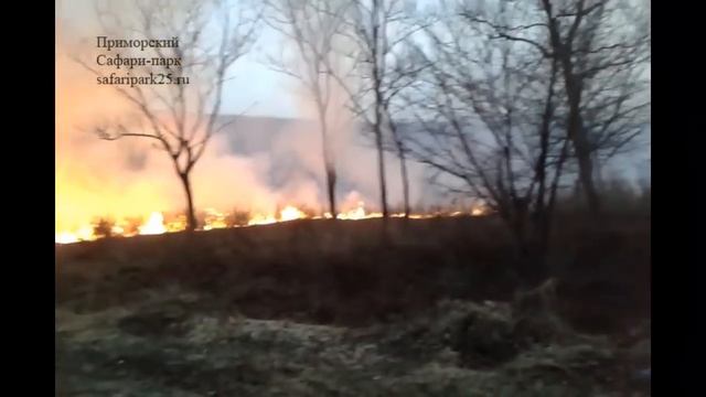 Пожар за дорогой смотреть онлайн