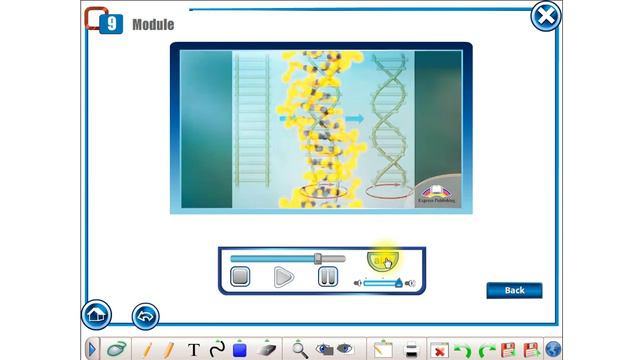 10 Grade Lesson 11  Independent Project