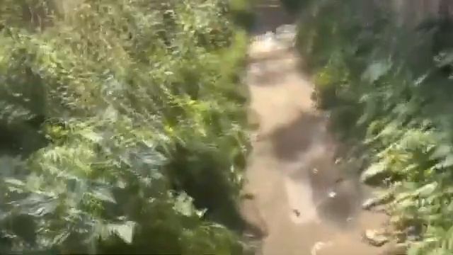 включил свет смотреть онлайн
