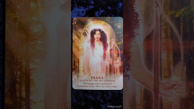 Diana ♀️ The Queen of the Wilderness ♀️ Divine Feminine Oracle card meaning смотреть онлайн