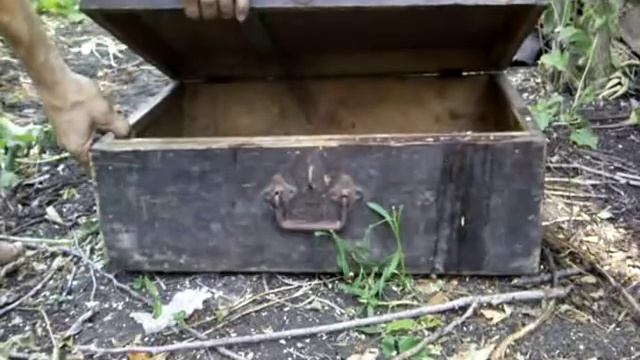 Как поймать хомяка. смотреть онлайн