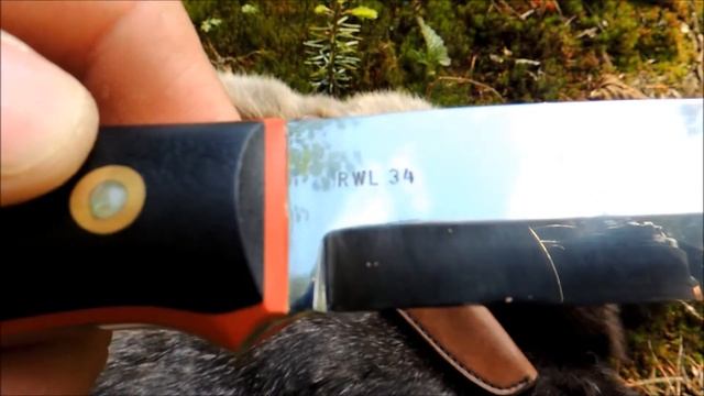 Woodlore   Od Vojty Deštěnského