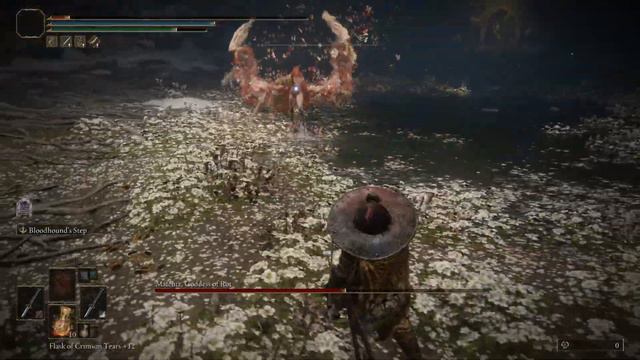 Malenia, Blade of Miquella NG+7, Melee/Int Build, No Summons смотреть онлайн