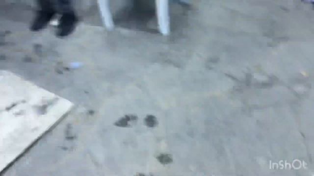 Лазерные лампы D2S 55 W * 2 в Опель зафира запись на установку 7(928)1112002 sever auto смотреть онлайн