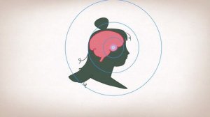 Shannon Odell How friendship affects your brain  TED Talk