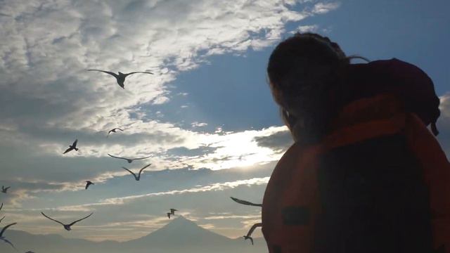 Командорские острова смотреть онлайн