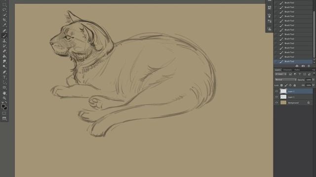 Photoshop Drawing Time Lapse - Elliot the cat смотреть онлайн