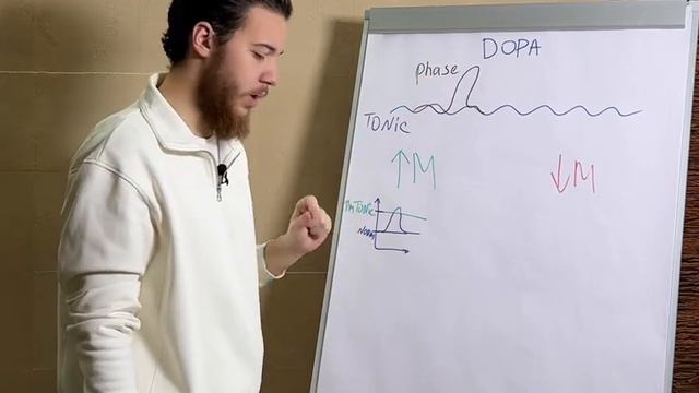 Почему избыток гормона радости вызывает депрессию? смотреть онлайн