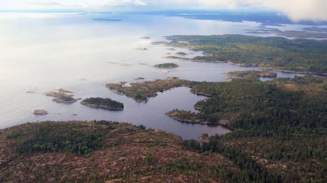 Учитель года 2023. Коломак Л. В.