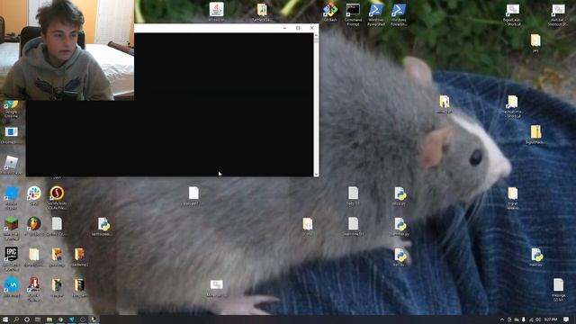 Nitro type auto typer: Automatic bot to cheat nitrotype (110-12000 wpm) смотреть онлайн