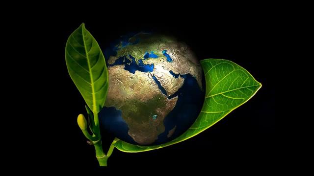 ОГЭ Speaking Task 2 Telephone Survey Ecological problems смотреть онлайн