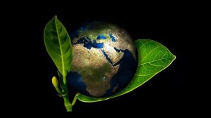 ОГЭ Speaking Task 2 Telephone Survey Ecological problems