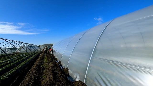 Накрываем теплицы смотреть онлайн