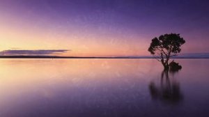 Дыхание по квадрату. 4 - 4 - 4 - 4 секунды. Длительность 5 минут.