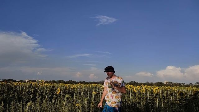 GENESIS GREEN STAR ENEGRY DRINK ОБЗОР смотреть онлайн