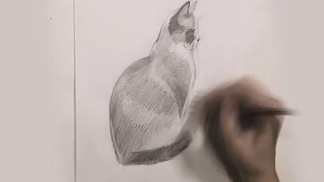 Уроки рисования | Как нарисовать кошку смотреть онлайн