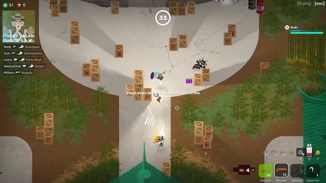 AIMBOT IN SUPER ANIMAL ROYALE | SUPER ANIMAL ROYALE PRO GAMEPLAY смотреть онлайн