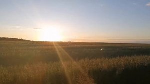 Мотоблок Мтз | Максимальная скорость.