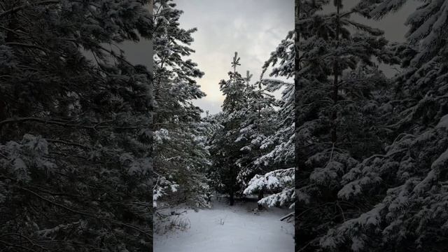 Рилс для личного блога - рилс мейкер для брендов - рилс Москва Сити, международный блог, зима Москв смотреть онлайн