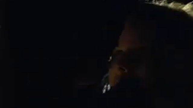 Михаил Горшенев - Забытые ботинки смотреть онлайн