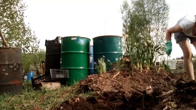 ПОСАДКА ПИОНОВ НА КЛУМБУ смотреть онлайн
