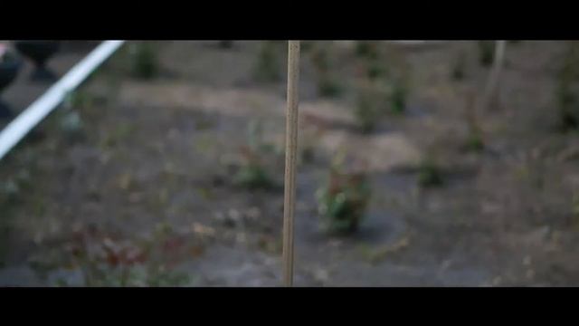 вечер памяти Николая Рыбникова в Борисоглебске 17.05.2019 смотреть онлайн