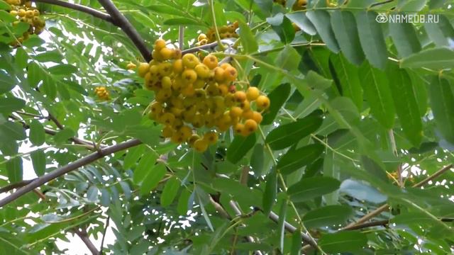 Как перестать зависеть от чужого мнения: 9 верных способов смотреть онлайн