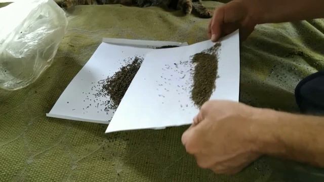 26 апреля 2020 г. смотреть онлайн