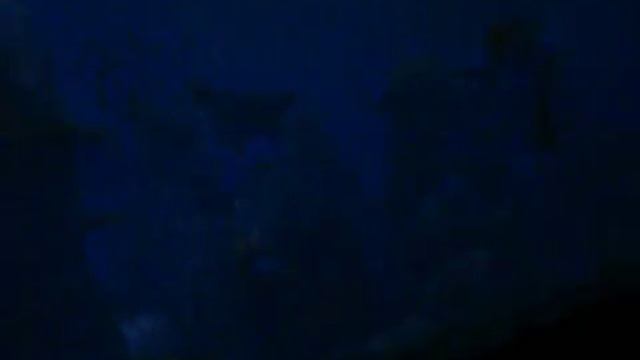 videoplayback126.mp4 смотреть онлайн