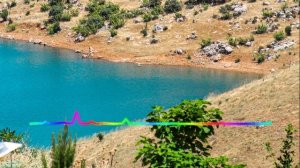 Индира Омарова - Птица любви 2023