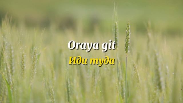 ?? Первые фразы и предложения на турецком языке | 100 слов и выражений смотреть онлайн
