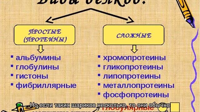Виды белков