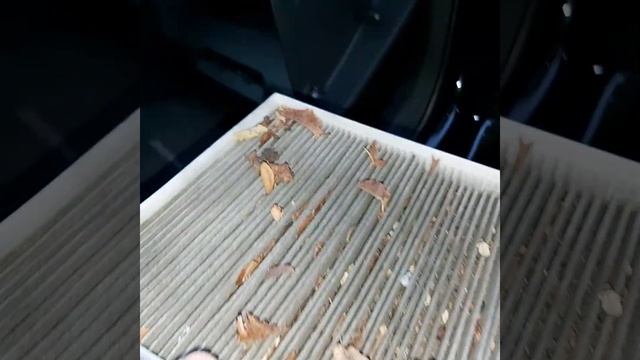 Чемпионаты по автоспорту