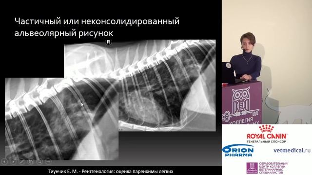 Тиунчик Е. М. - Рентгенология: оценка паренхимы легких смотреть онлайн